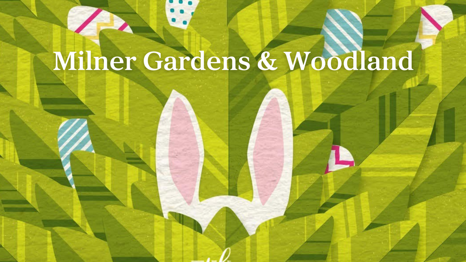 Event poster depicting bunny ears popping out of tall grass surrounded by easter eggs.