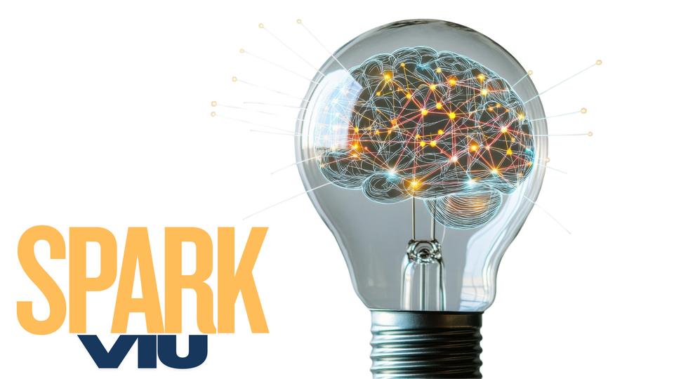 Light bulb with SPARK VIU logo